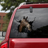 Hanoverian Horse Crack Decal Car Humor Custom Logo Stickers Best Housewarming Gifts - Horse Lovers die-cut waterproof vinyl sticker decal