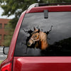 Clydesdale Horse Crack Dad Decal Nice Bee Stickers Gift Ideas For Husband - Horse Lovers die-cut waterproof vinyl sticker decal
