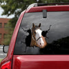 Clydesdale Horse Crack Sticker Emoji Cuteness Overloaded Window Decals Secret Santa Gifts - Horse Lovers die-cut waterproof vinyl sticker decal