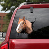 Breton Horse Crack Sticker Design Funny Birthday Memes Sticker Paper Anniversary Gifts For Boyfriend - Horse Lovers die-cut waterproof vinyl sticker decal