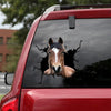 Breton Horse Crack Bone Sticker Cuteness Overloaded Vinyl Decals For Cars Gifts For Brother - Horse Lovers die-cut waterproof vinyl sticker decal