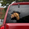 Andalusian Horse Crack Decal Window Wiper Funny Vinyl Window Decals Stuffer Ideas - Horse Lovers die-cut waterproof vinyl sticker decal