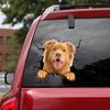 Nova Scotia Duck Tolling Retriever Crack Stickers Pretty Brand Stickers Graduation Gifts For Her - Dog Lovers die-cut waterproof vinyl sticker decal