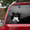 Tuxedo Cat Crack Sticker Custom Cute A Small Stickers Kittens Lover Gifts - Cat Lovers die-cut waterproof vinyl sticker decal