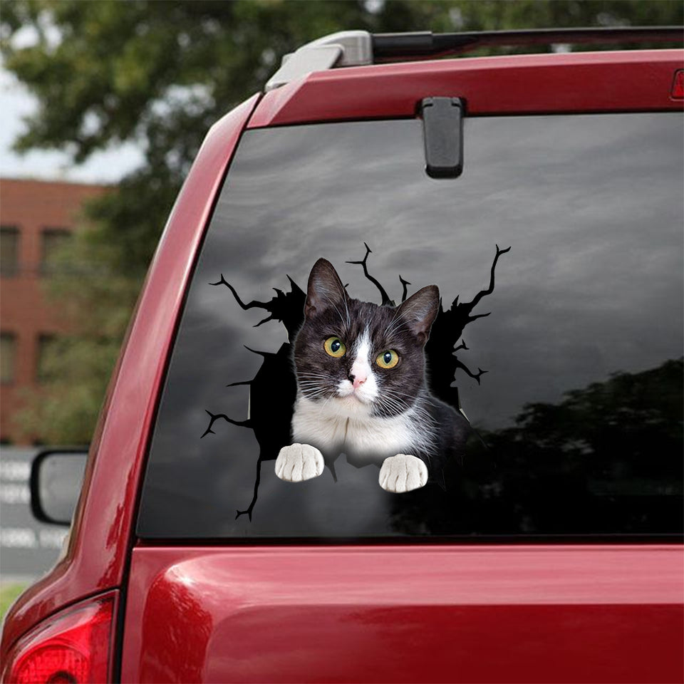 Tuxedo Cat Crack Sticker Chart Kawaii Friendship Stickers Christmas Gifts - Cat Lovers die-cut waterproof vinyl sticker decal