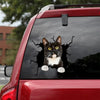 Tuxedo Cat Crack Decals For Cars Funny Quotes Water Bottle Stickers Gifts For Friends Birthday - Cat Lovers die-cut waterproof vinyl sticker decal