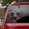 Mouflon Crack Sticker Door Funny Birthday Memes Vinyl Stickers For Cars Birthday Gift Ideas For Mom - Family & Home die-cut waterproof vinyl sticker decal
