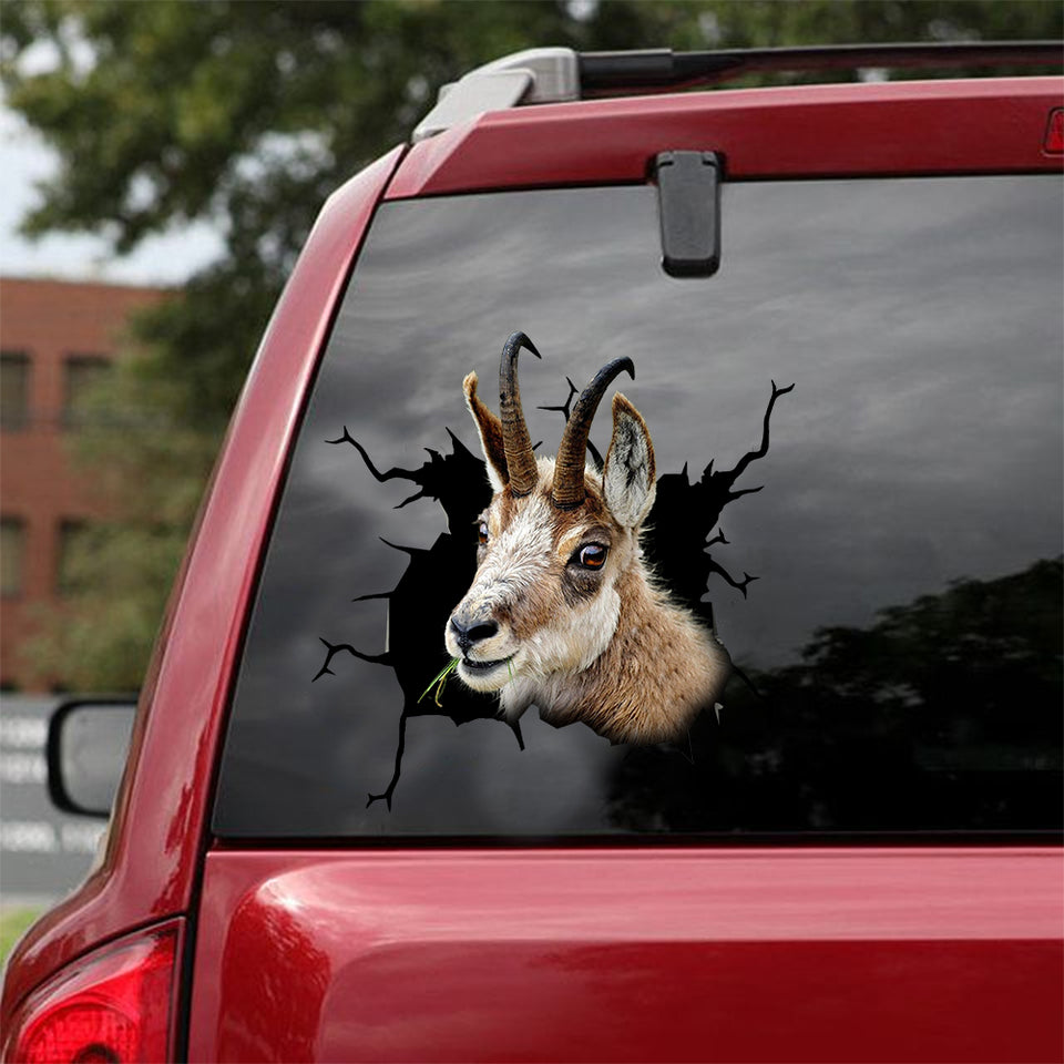 Chamois Crack Sticker Car Fun Custom Sticker Labels Sympathy Gifts - General die-cut waterproof vinyl sticker decal