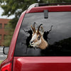 Chamois Crack Sticker Car Fun Custom Sticker Labels Sympathy Gifts - General die-cut waterproof vinyl sticker decal