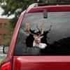 Fallow Deer Crack Decal For Car Lovely Custom Vinyl Lettering Gift Ideas For Girlfriend - Hunting / Deer die-cut waterproof vinyl sticker decal