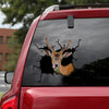 Fallow Deer Crack Decals For Walls Funny Quotes Name Tag Stickers Customized Gifts - Hunting / Deer die-cut waterproof vinyl sticker decal