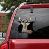 Sika Deer Crack Sticker Kawaii Humor Label Stickers Stuffer Ideas - Hunting / Deer die-cut waterproof vinyl sticker decal