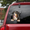 [dt0286-snf-tnt]-bernese-mountain-dog-crack-car-sticker-dogs-lover