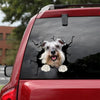 [dt0292-snf-tnt]-schnauzer-crack-car-sticker-dogs-lover