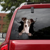 [dt0298-snf-tnt]-greyhound-crack-car-sticker-dogs-lover