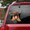 [dt0306-snf-tnt]-boerboel-crack-car-sticker-dogs-lover