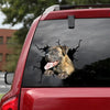 [dt0307-snf-tnt]-boerboel-crack-car-sticker-dogs-lover