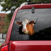 Dairy Cattle Crack Decal For Rear Window Wiper Fun Car Decal Stickers Christmas Ideas 2021 - Cattle / Farm die-cut waterproof vinyl sticker decal