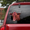 Danish Red Cattle Crack Bumper Sticker Cute Custom Stickers Best Mother's Day Gifts - Cattle / Farm die-cut waterproof vinyl sticker decal