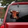 Shorthorn Cattle Crack Car Decal Custom Funny 3d Sticker Birthday Gift For Girlfriend - Cattle / Farm die-cut waterproof vinyl sticker decal