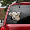 Shorthorn Cattle Crack Stickers For Water Bottle Funny Wall Decor Brand Stickers Presents For Dads - Cattle / Farm die-cut waterproof vinyl sticker decal