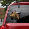 Shorthorn Cattle Crack Sticker Design Hot Custom Decals For Trucks Gifts For Dog Lovers - Cattle / Farm die-cut waterproof vinyl sticker decal
