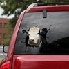Hereford Cattle Crack Car Decal Custom Cute Laptop Decals Mother's Day Gifts Amazon - Cattle / Farm die-cut waterproof vinyl sticker decal