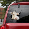 Charolais Cattle Crack Sticker Car Funny Quotes Art Stickers Gifts For Her - Cattle / Farm die-cut waterproof vinyl sticker decal