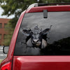 Angus Cattle Crack Decal Items Likeable Clear Sticker Paper Gifts For Men - custom sticker applied on car truck window preview