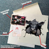 Angus Cattle Crack Decal Items Likeable Clear Sticker Paper Gifts For Men - durable UV resistant bumper and tumbler decal detail