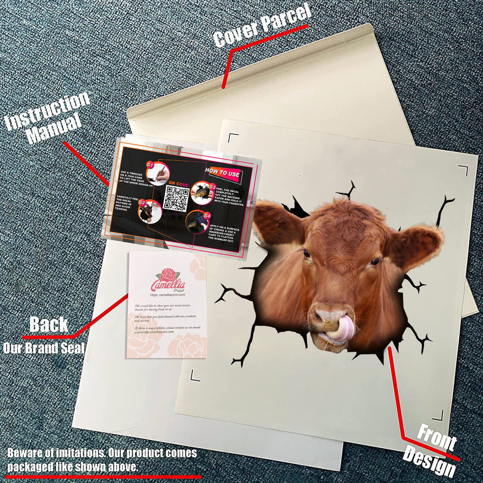 Angus Cattle Crack Sticker Chart Cuteness Overloaded Decal Stickers White Elephant Gift Ideas - durable UV resistant bumper and tumbler decal detail
