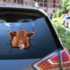 Angus Cattle Crack Sticker Chart Cuteness Overloaded Decal Stickers White Elephant Gift Ideas - Cattle / Farm die-cut waterproof vinyl sticker decal