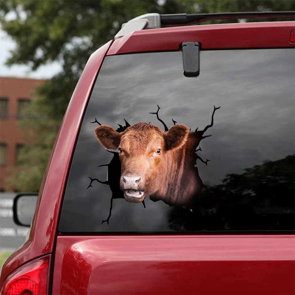 Angus Cattle Crack Door Decal The Cutest Number Stickers 10th Anniversary Gift - custom sticker applied on car truck window preview