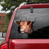 Angus Cattle Crack Door Decal The Cutest Number Stickers 10th Anniversary Gift - custom sticker applied on car truck window preview