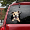 American Staffordshire Terrier Crack Sticker Pack Super Cute Transparent Sticker Christmas Gifts For Parents - Dog Lovers die-cut waterproof vinyl sticker decal