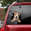 American Staffordshire Terrier Crack Decal Sticker Car Kawaii Clear Labels Gifts For Mom - Dog Lovers die-cut waterproof vinyl sticker decal