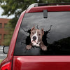 American Staffordshire Terrier Crack Stickers Funny Decal One Year Anniversary Gifts - Dog Lovers die-cut waterproof vinyl sticker decal