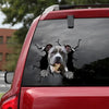 American Staffordshire Terrier Crack Dad Decal Funny Faces Waterproof Stickers Housewarming - Dog Lovers die-cut waterproof vinyl sticker decal