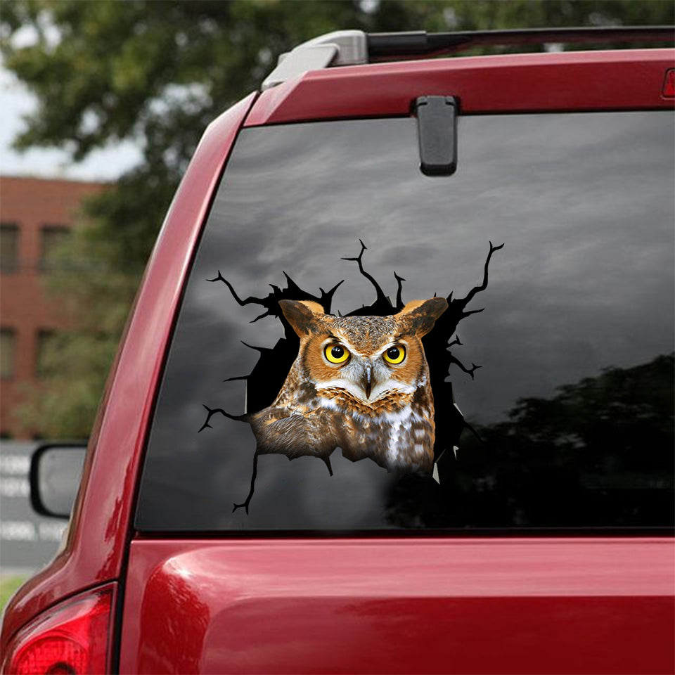 Owl Crack Decal For Car Window Cute Custom Decals 60th Birthday Ideas - Wildlife & Nature die-cut waterproof vinyl sticker decal