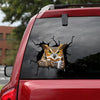 Owl Crack Decal For Car Window Cute Custom Decals 60th Birthday Ideas - Wildlife & Nature die-cut waterproof vinyl sticker decal