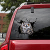 Owl Crack Decal For Boat Funny Pictures Vinyl Sticker Paper Christmas Gifts - Wildlife & Nature die-cut waterproof vinyl sticker decal