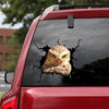 Owl Crack Decals For Windows Be Cute Car Decals Christmas Gift Ideas - Wildlife & Nature die-cut waterproof vinyl sticker decal