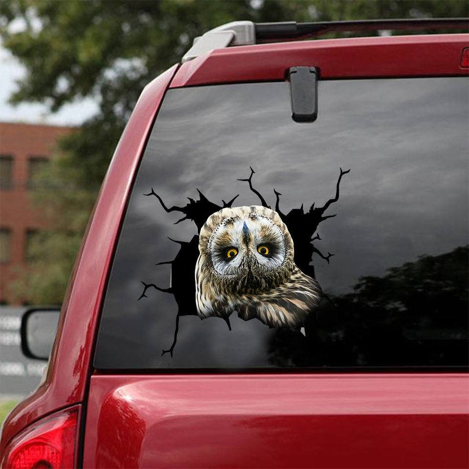 Owl Crack Stickers For Cars Hot Name Stickers Best Gift For Boyfriend - Wildlife & Nature die-cut waterproof vinyl sticker decal