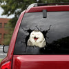 Owl Crack Sticker Car Window Humor Vinyl Letter Stickers Funny Gifts For Men - Wildlife & Nature die-cut waterproof vinyl sticker decal
