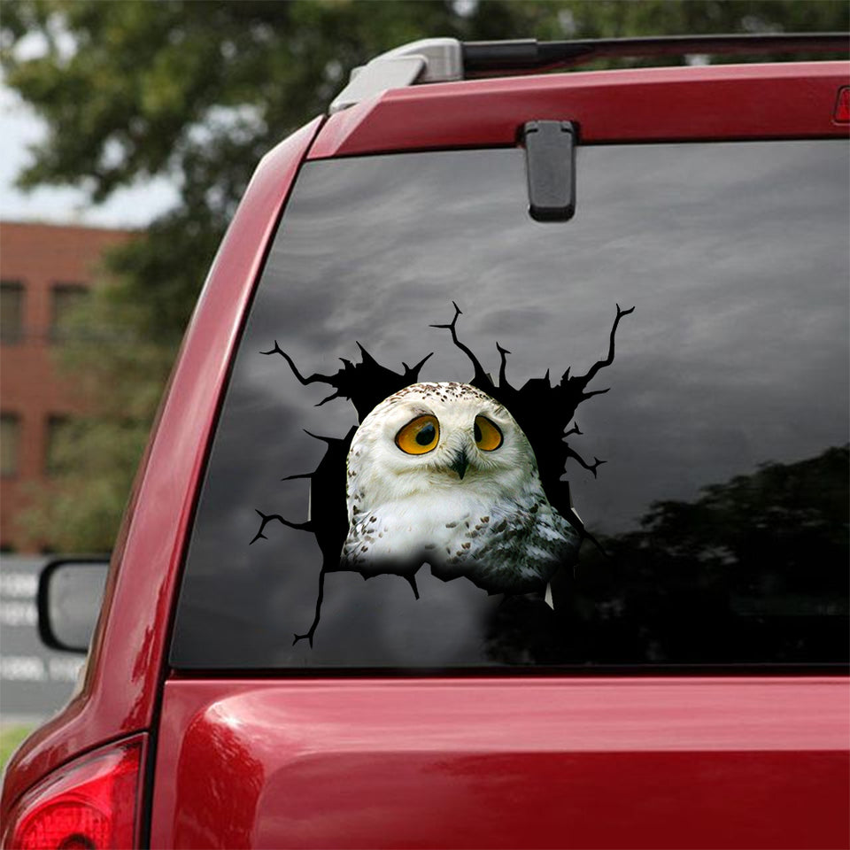 Owl Crack Sticker For Car Window Funny Memes Sticker Sheets Good Mothers Day Gifts - Wildlife & Nature die-cut waterproof vinyl sticker decal