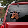 Standardbred Horse Crack Decor Decal Funny Quotes Big Stickers 60th Birthday Gift Ideas - Horse Lovers die-cut waterproof vinyl sticker decal