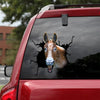 Mule Crack Decal Items Funny Waterproof Labels Photo Gifts - Horse Lovers die-cut waterproof vinyl sticker decal