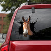 Mule Crack Head Decal Pretty Cute Number Stickers Christmas Ideas - custom sticker applied on car truck window preview
