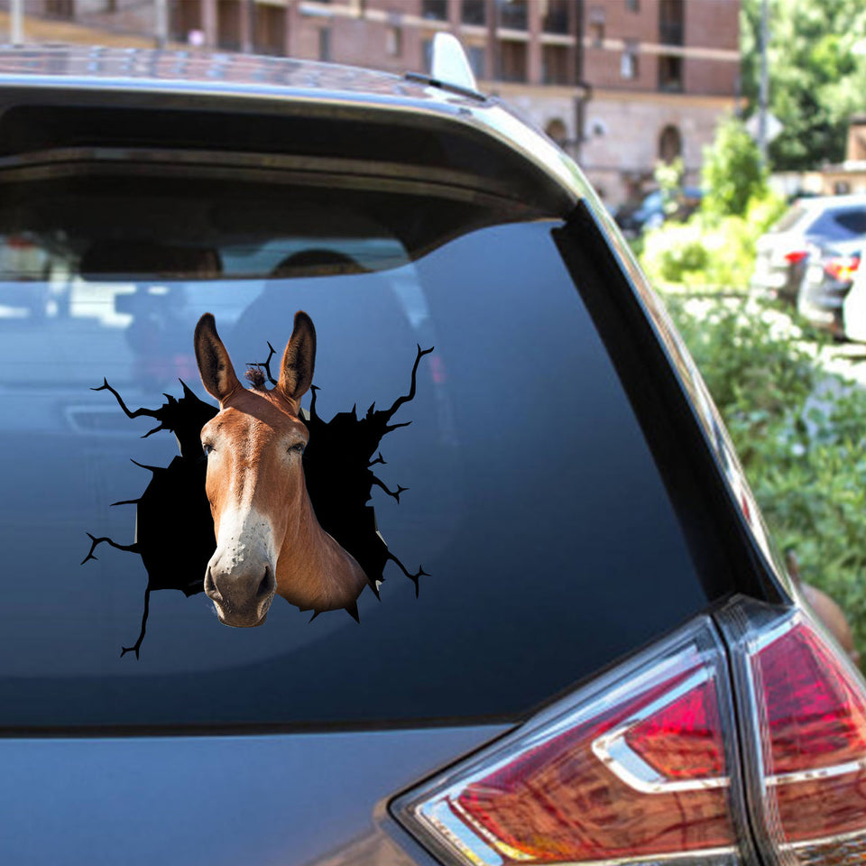 Mule Crack Head Decal Pretty Cute Number Stickers Christmas Ideas - Horse Lovers die-cut waterproof vinyl sticker decal