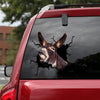 Mule Crack Decal Sticker Car Cool Vinyl Decals Valentines Ideas - custom sticker applied on car truck window preview